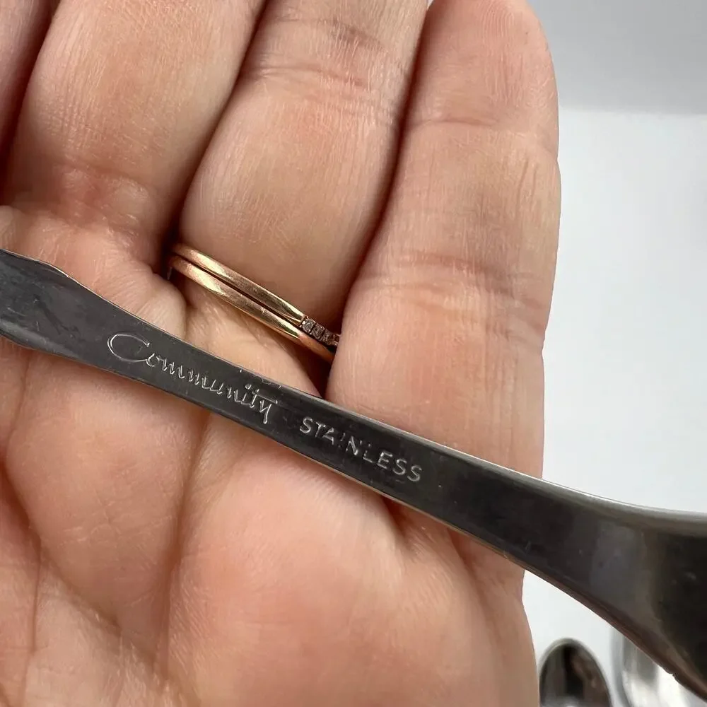 Community vintage stainless